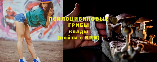 прущая мука Бугульма