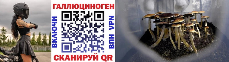 Псилоцибиновые грибы прущие грибы  Купить закладки  Амурск 
